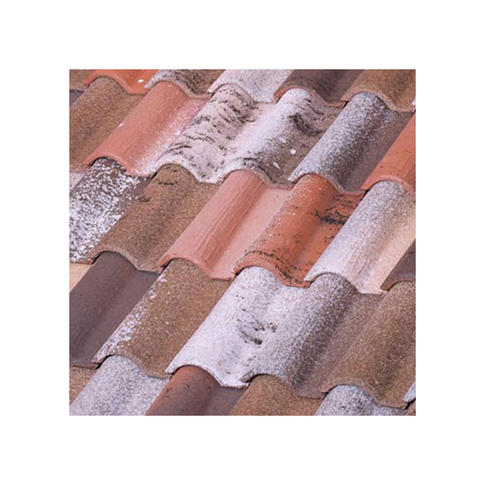 Керамическая черепица TB 12, Ground, Tejas Borja (Струйная печать под столетнюю черепицу)